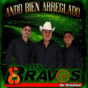 Обложка для Los Bravos De Sinaloa - Ando Bien Arreglado