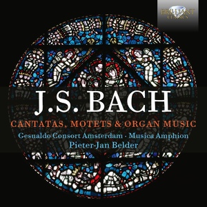 Обложка для Gesualdo Consort Amsterdam, Musica Amphion, Pieter-Jan Belder - Cantata Ich geh und suche mit Verlangen, BWV 49V. Recitative Mein Glaube hat mich selbst so angezogen