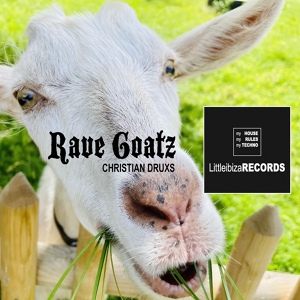 Обложка для Christian Druxs - Rave Goatz