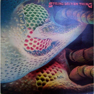 Обложка для String Driven Thing - Two Timin' Rama