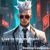 Обложка для Elektron tribe (Виктор Смирнов) - Live in the moment