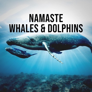 Обложка для Звуки природы - 03 — Дельфины и киты