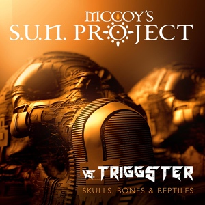 Обложка для McCOY´s SUN PROJECT feat. Triggster - You Are the Reptile