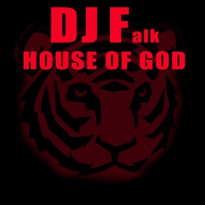 Обложка для DJ Falk - House of God