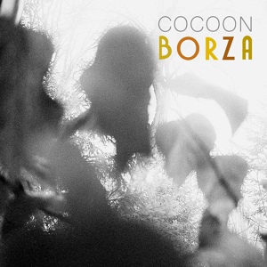 Обложка для borza - Live and Love