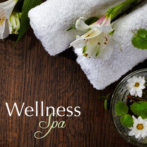 Обложка для Entspannungsmusik Wellness Club - Wellness Spa