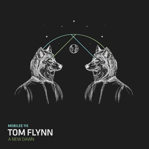 Обложка для Tom Flynn - Under My Control (Original Mix)