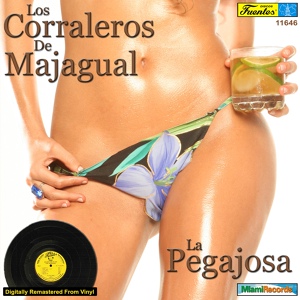 Обложка для Los Corraleros De Majagual feat. Cesar Castro - La Pegajosa