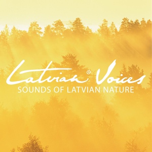 Обложка для Latvian Voices - Es Gulu, Gulu