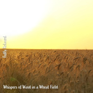 Обложка для Steve Brassel - Whispers of Wind in a Wheat Field, Pt. 18