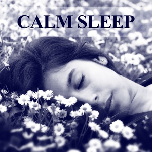 Обложка для Deep Sleep Music Society - Stress Relief