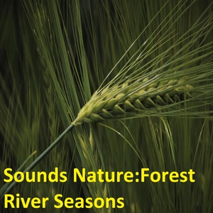 Обложка для Alexander Gorya - Sounds Nature: Forest River Seasons