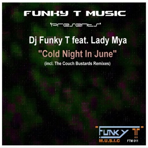 Обложка для Dj Funky T feat. Lady Mya - Cold Night In June