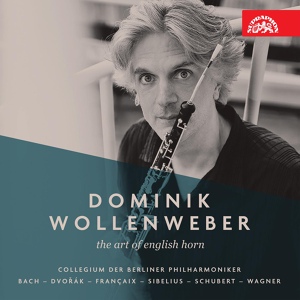 Обложка для Berliner Philharmoniker, Sir Simon Rattle, Dominik Wollenweber, Bruno Delepelaire - The Swan of Tuonela. Tone poem, Op. 22