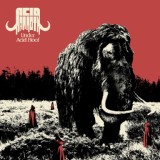 Обложка для Acid Mammoth - Jack the Riffer