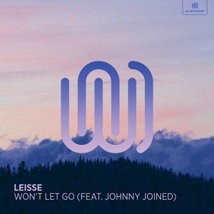 Обложка для leisse feat. johnny joined - Won't Let Go