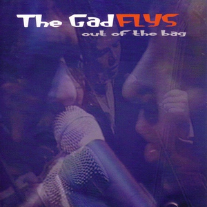 Обложка для The Gadflys - Burning Thing
