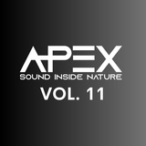 Обложка для Apex Sound Inside Nature - Black Door