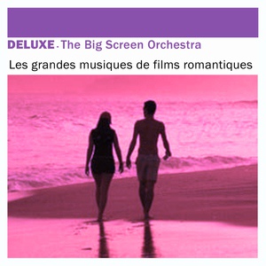 Обложка для The Big Screen Orchestra - Un homme et une femme