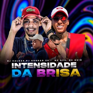 Обложка для Mc DVS, Mc Guih, dj caldas, DJ Gordão Zs - Intensidade da Brisa