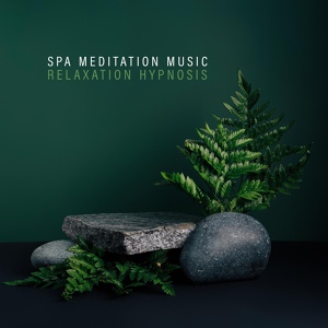 Обложка для Chakra Cleansing Music Sanctuary - Relax Your Mind (Island Spa)