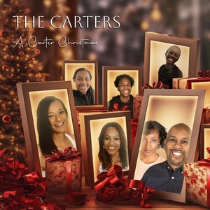 Обложка для The Carters - Coming Home