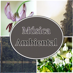 Обложка для Academia de Sonidos de la Naturaleza para el Masaje - Música de la Boda