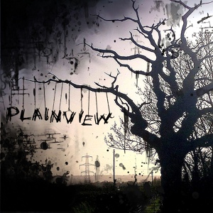 Обложка для Plainview - The Last Word