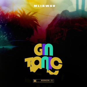 Обложка для MLIBWAV - Gin Tonic