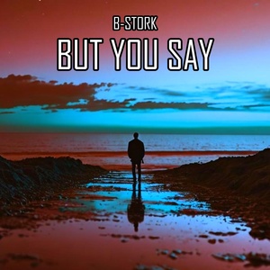 Обложка для B-Stork - But You Say