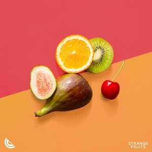 Обложка для Dance Fruits Music - Your Body