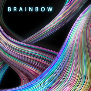 Обложка для Psynapse - Brainbow