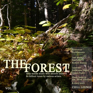 Обложка для Richard Bonnée - Forest Stream