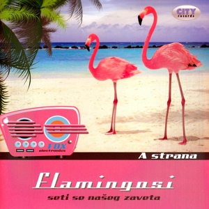 Обложка для Flamingosi - Hit