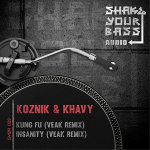 Обложка для Koznik, Khavy, Veak - Insanity