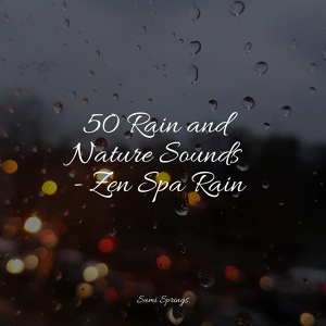 Обложка для Nature's Symphony, Natural Rain Sounds for Sleeping, Sounds Of Nature : Thunderstorm, Rain - Rainy Woodland Ambience