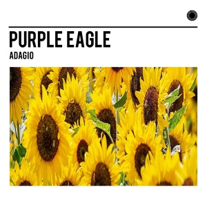 Обложка для Purple Eagle - Adagio