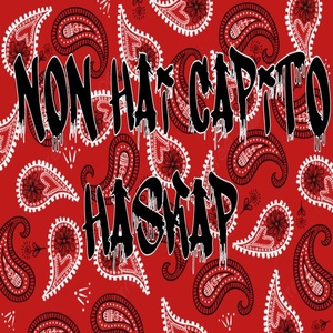 Обложка для Haska P - Non hai capito