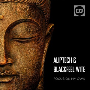 Обложка для Aliptech, Blackfeel Wite - Focus on my own