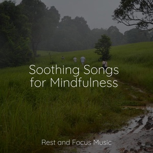 Обложка для Deep Relaxation Meditation Academy, Amazing Spa Music, Yoga Music - Sleep Soundtrack