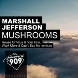 Обложка для Marshall Jefferson - Mushrooms