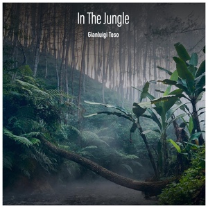 Обложка для Gianluigi Toso - Jungle Rhythm