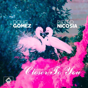 Обложка для Doug Gomez feat. Pietro Nicosia - Closer To You