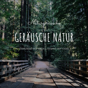 Обложка для Gewitter Naturgeräusche Entspannungsmusik - Naturgeräusche