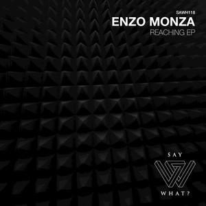 Обложка для Enzo Monza - Reaching