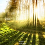 Обложка для David I - Sunlight