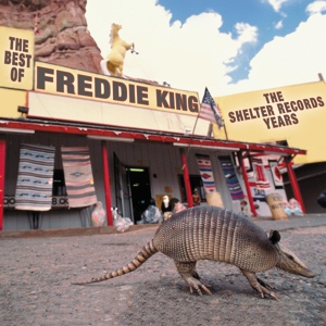 Обложка для Freddie King - I'm Ready