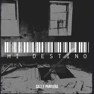 Обложка для Calle Pantera - Mi Destino