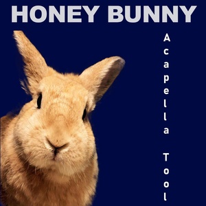 Обложка для Honey Bunny - Sweet Dreams Everybody's Looking For Something (Acapella Tool)