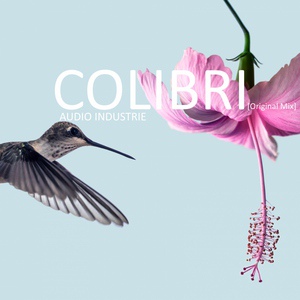 Обложка для Audio Industrie - Colibri